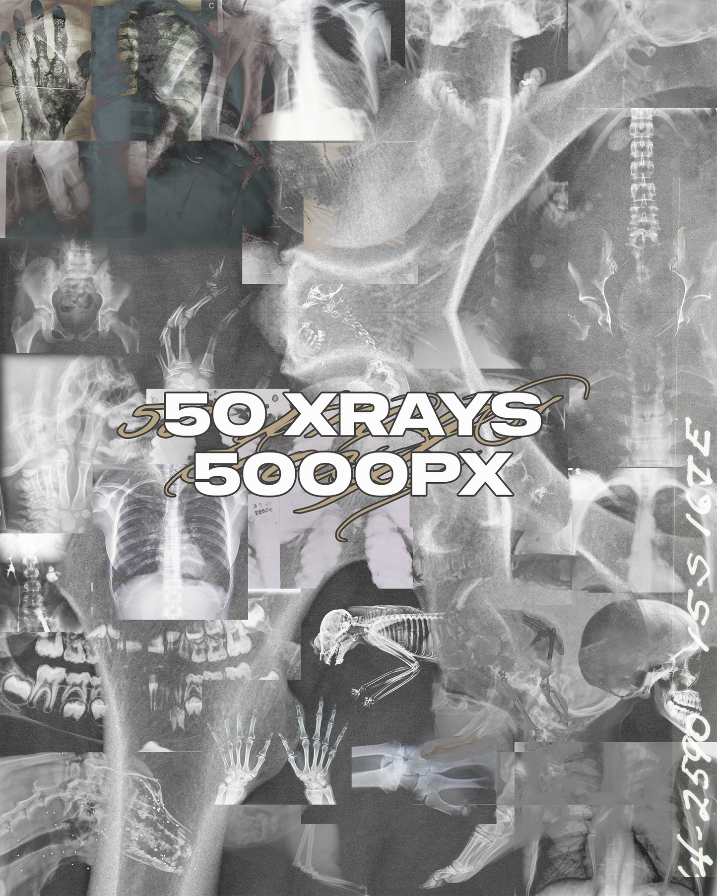 MORTAL COIL: 226 MEDICAL ASSETS